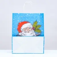 Пакет бумажный подарочный новогодний крафт &laquo;Дедушка мороз&raquo; 22&times;12&times;27 см