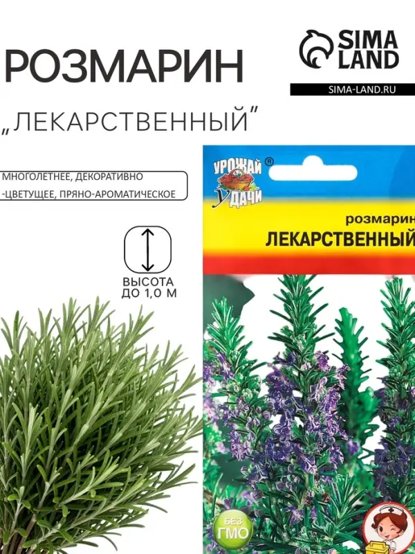 Семена Розмарин &laquo;Лекарственный&raquo;, 0.02 г, &laquo;Урожай Удачи&raquo;