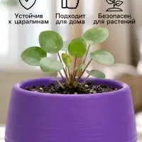 Горшок цветочный &laquo;Япония&raquo;, 125 мл, d=8 см, h=6.5 см, пластиковый, с поддоном, фиолетовый