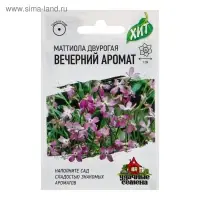 Семена цветов Маттиола двурогая "Вечерний аромат", ц/п,  смесь, О, 0,3 г