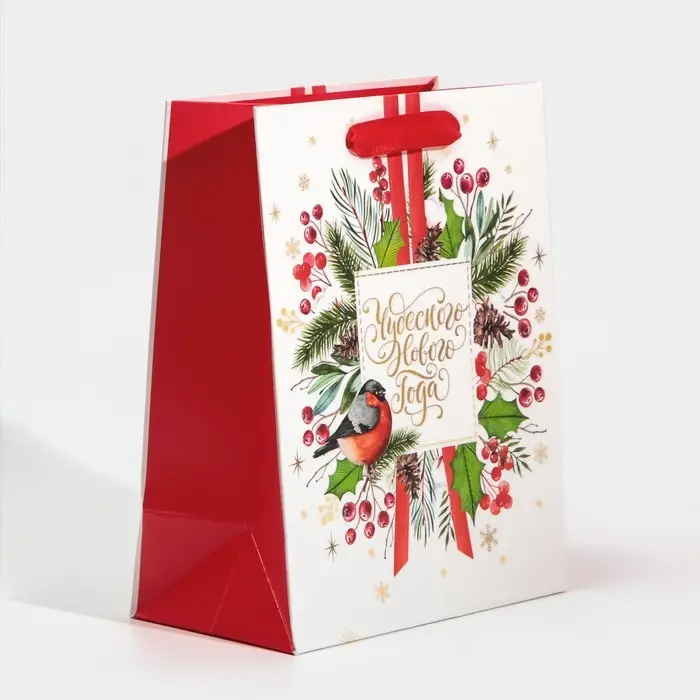 Пакет подарочный новогодний ламинированный «Чудесного Нового Года», MS 18 х 23 х 10 см