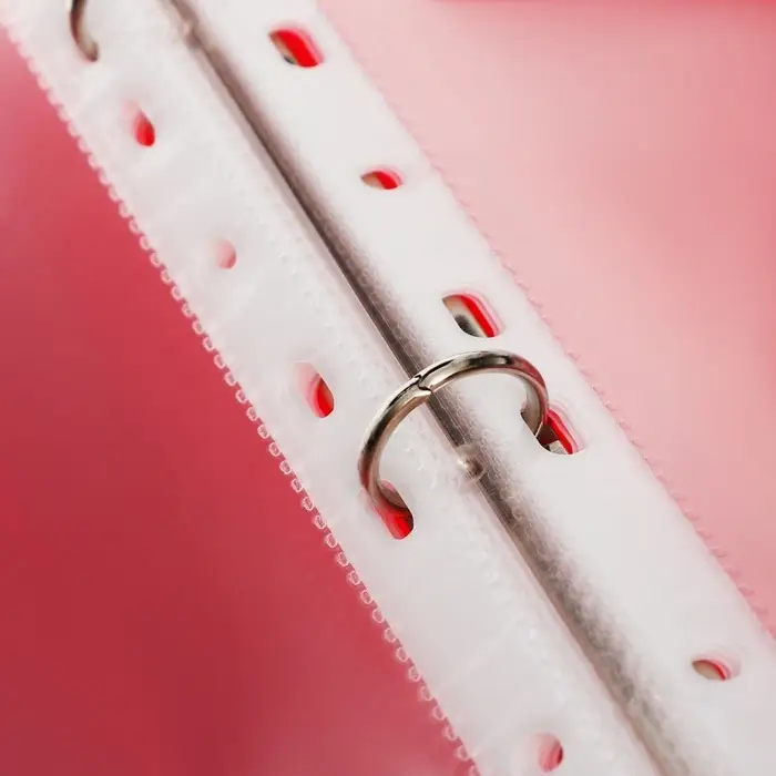 Папка-портфолио А4, Calligrata &laquo;Герб&raquo;, пластиковая, на 4 кольцах, для школьника, 20 файлов