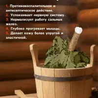 Веник для бани &laquo;Элитный&raquo;, дубовый, 55 см, с обмотанной ручкой, &laquo;Добропаровъ&raquo;