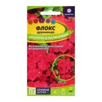 Семена Флокс "Красотка в малиновом", ц/п,  0,1 гр.