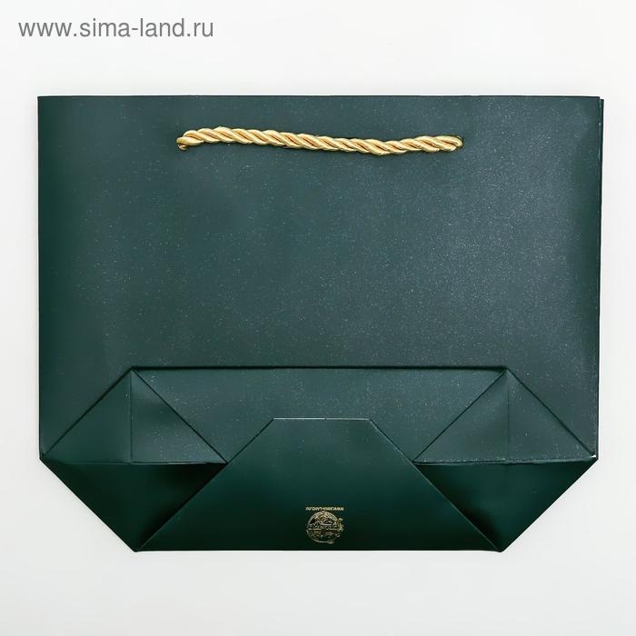 Пакет подарочный, упаковка, Best wishes, 14 х 17 х 7 см Пакет подарочный, упаковка, Best wishes, 14 х 17 х 7 см