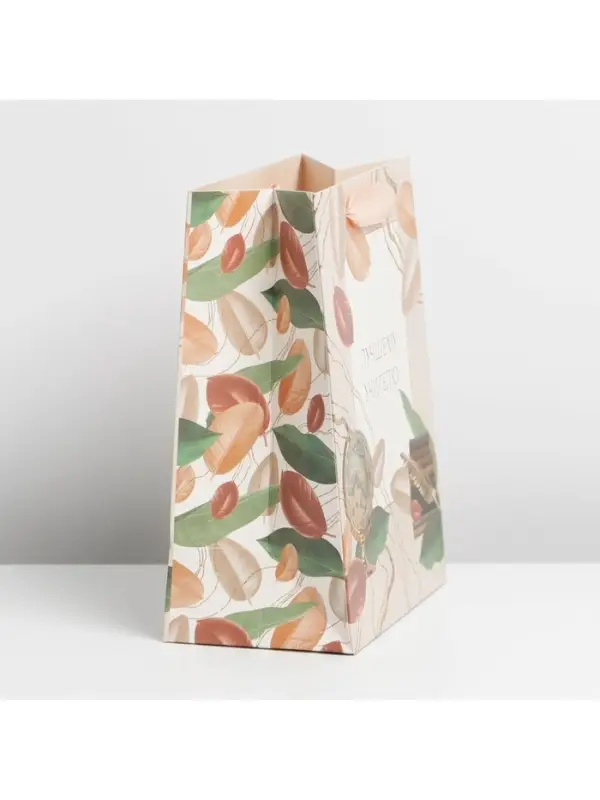 Пакет подарочный ламинированный, упаковка, «Лучшему учителю», MS 18 х 23 х 10 см