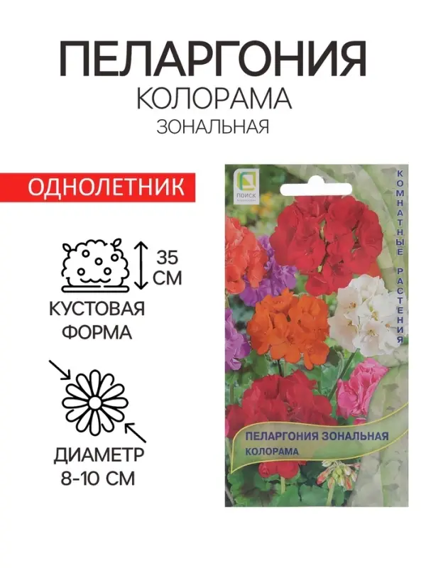 Семена цветов Пеларгония зональная "Колорама" 0,05 г