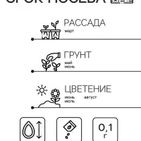 Семена Лихнис "Зорька", ц/п,  0,1 гр.