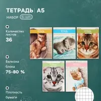 Тетради 5 штук 36 листов в клетку &laquo;Кошки&raquo;, обложка мелованная бумага, блок №2, белизна 75%, (4 разные, 1 повторяющаяся)