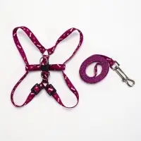 Шлейка с поводком &laquo;Классика&raquo;, ОГ 28-47 см, поводок 120&times;1 см, фиолетовая