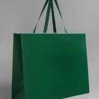 Пакет подарочный ламинированный горизонтальный &laquo;Изумрудный&raquo;, 48&times;39&times;16 см