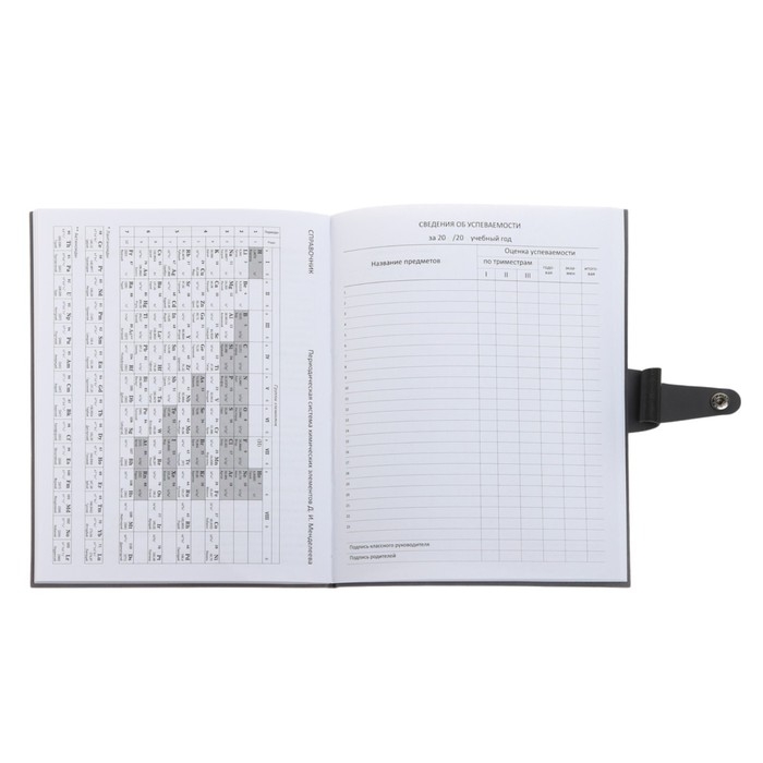 Дневник универсальный для 1-11 классов Favorite, интегральная обложка из искусственной кожи на кнопке, тиснение фольгой, ляссе, 48 листов