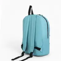 Рюкзак школьный на молнии, с карманом, однотонный, размер 30&times;12&times;40 см, голубой