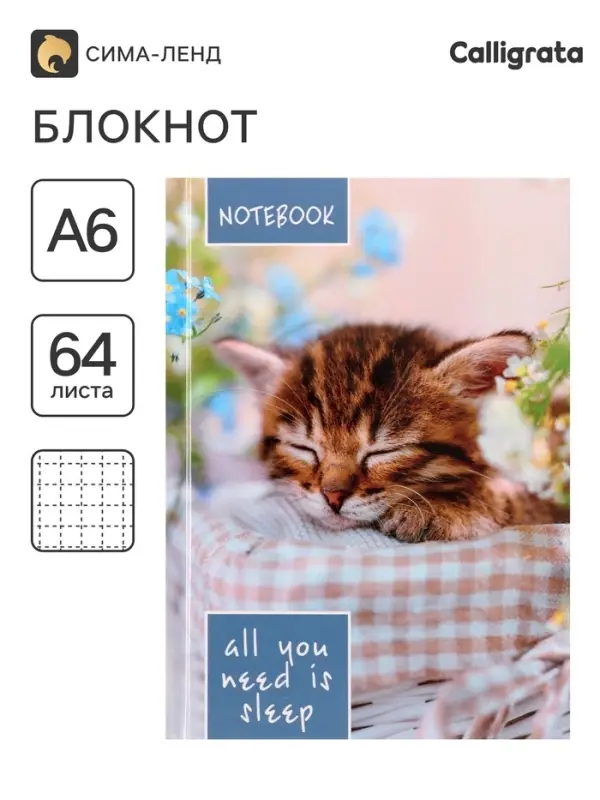 Блокнот А6, 64 листа в клетку &laquo;Соня&raquo;, твёрдая обложка, глянцевая ламинация, блок офсет