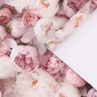 Бумага упаковочная, глянцевая &laquo;Весенний букет пионов&raquo;, 70&times;50 см