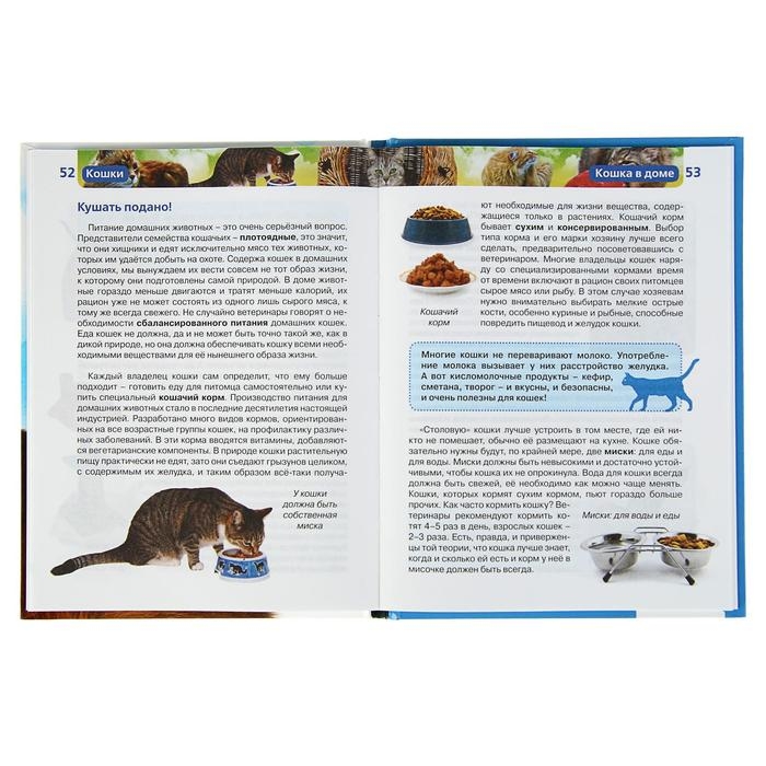 Детская энциклопедия «Кошки» Детская энциклопедия «Кошки»