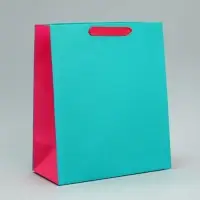 Пакет подарочный двухцветный, упаковка, &laquo;Розовый-голубой&raquo;, ML 23&times;27&times;11.5 см