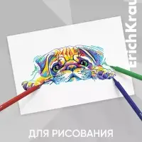 Фломастеры ErichKrause Road Beast, 12 цветов, в футляре с европодвесом