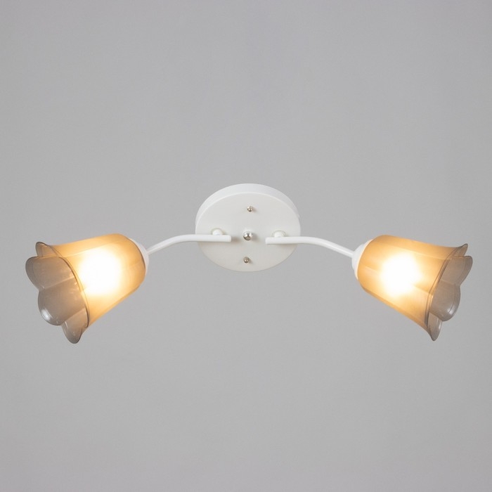 Люстра Люстра "Онлайн" (цветок) 2х15Вт Е27 МОДЕЛЬ: BR 00198 белый/черный