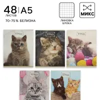 Тетрадь 48 листов в клетку Calligrata &laquo;Милые котята&raquo;, серые листы, МИКС