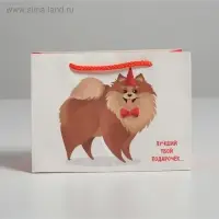 Пакет подарочный, упаковка, «Лучший подарочек», 14,5 х 19,5 х 8,5 см