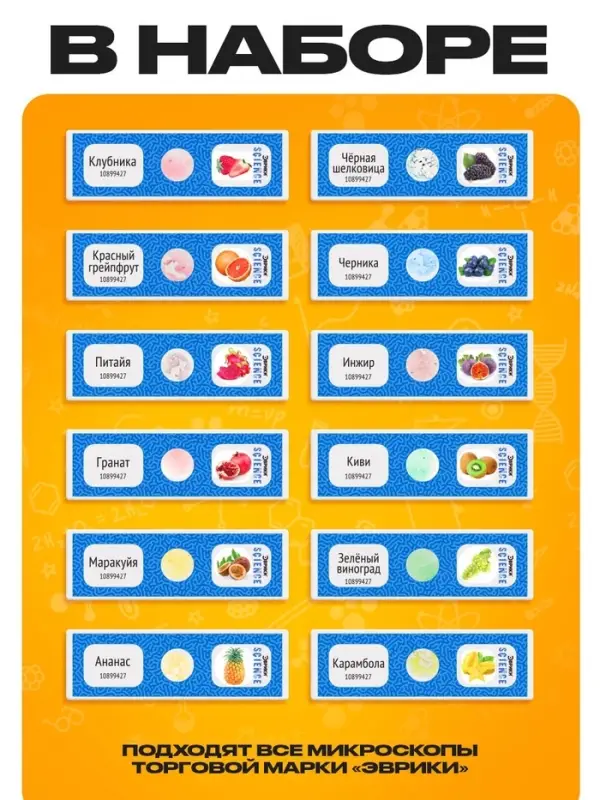 Набор для опытов &laquo;Набор микропрепаратов&raquo;, фрукты и ягоды