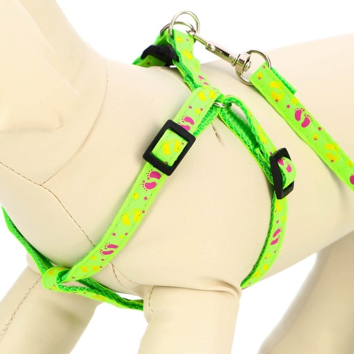 Комплект  Комплект "Цветные следы", поводок 120 х 1 см, ОГ 23-35 см, зелёный