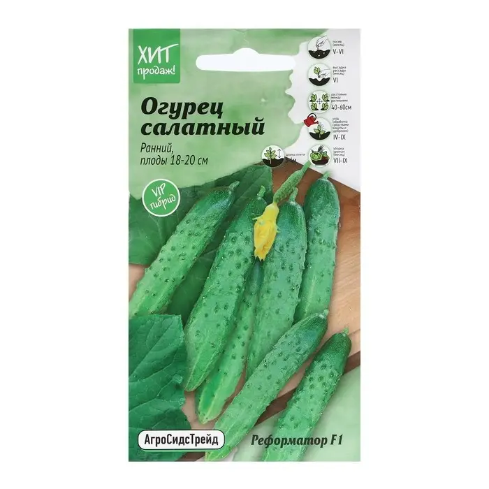 Семена Огурец Семена Огурец "Реформатор", 5 шт