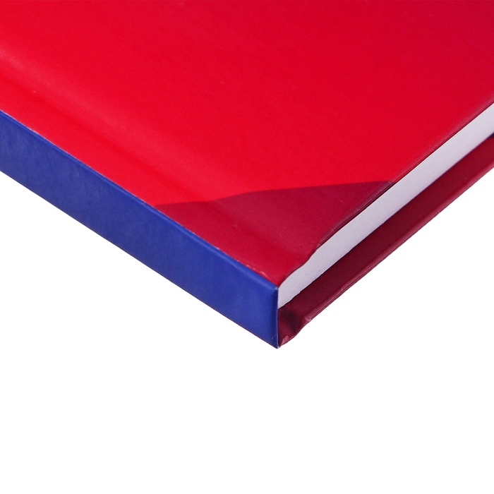 Ежедневник недатированный А5, 128 листов Ежедневник недатированный А5, 128 листов "РОССИЯ", твёрдая обложка, глянцевая ламинация