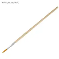 Набор кистей для рисования, синтетика, 10 штук: № 1, 2, 3, 4, 5, 6, 7, 8, 9, 10, круглые, деревянная ручка, международный размер