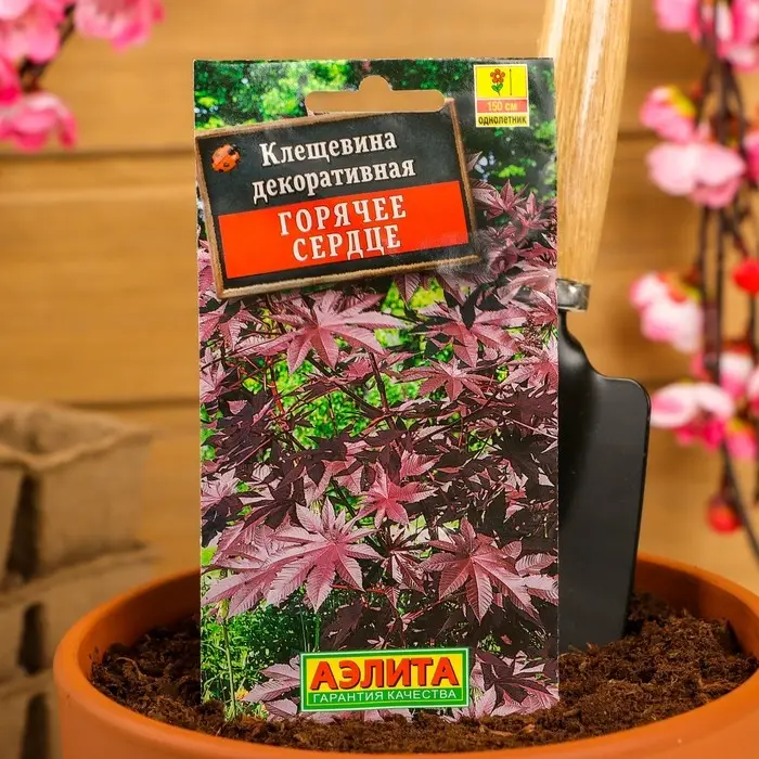 Семена цветов Клещевина "Горячее сердце", О, 2 г