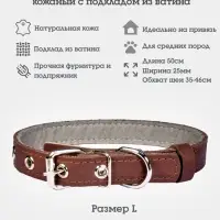 Ошейник, 50&times;2.5 см, подклад из ватина, кожа, коричневый
