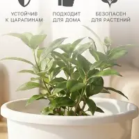 Горшок для цветов с поддоном &laquo;Альтернатива. Эконом&raquo;, 3 л, пластиковый, белый