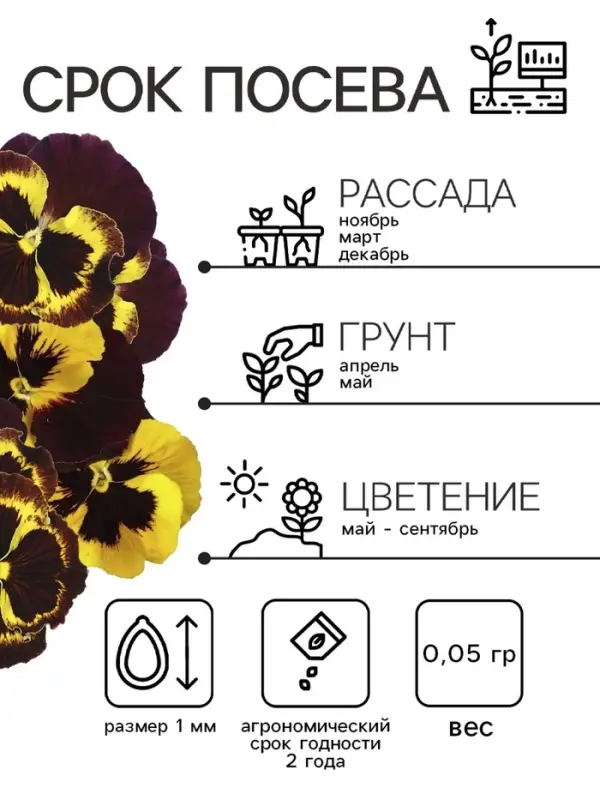 Семена Виола Семена Виола "Африка", ц/п, 0,05 г