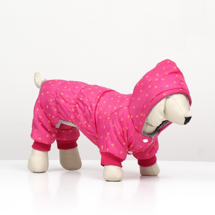 Комбинезон  Комбинезон "нежный путь" на меховом подкладе, размер 2XL (ДС 45, ОШ 45, ОГ 55 см), розовый