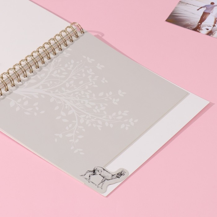 Фотоальбом на спирали 20 листов Фотоальбом на спирали 20 листов "Контур. Природа" объёмный элемент + 4 вкладки 24х24 см