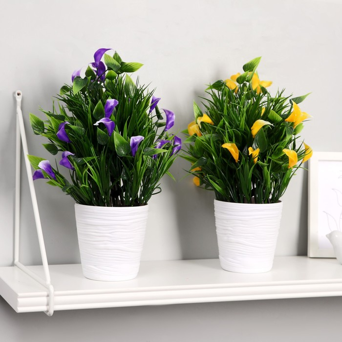 Бонсай в горшке "Нежные каллы" 10х29 см, микс