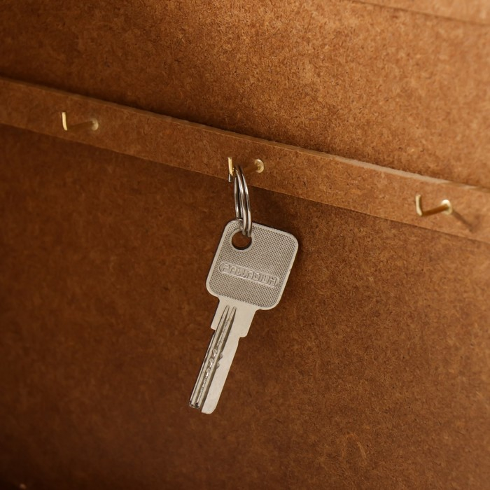 Ключница Ключница "Исаакиевский собор" 26х31 см венге