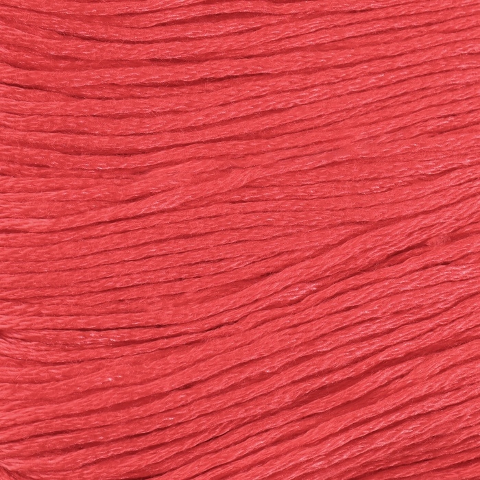 Набор ниток мулине №3801, 8 ± 1 м, 6 шт, цвет глубокий красный Набор ниток мулине №3801, 8 ± 1 м, 6 шт, цвет глубокий красный