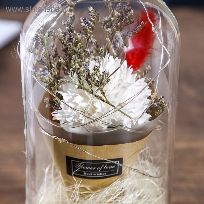 Ночник колба Ночник колба "Астра белая" LED 3ААА 10х10х21 см RISALUX