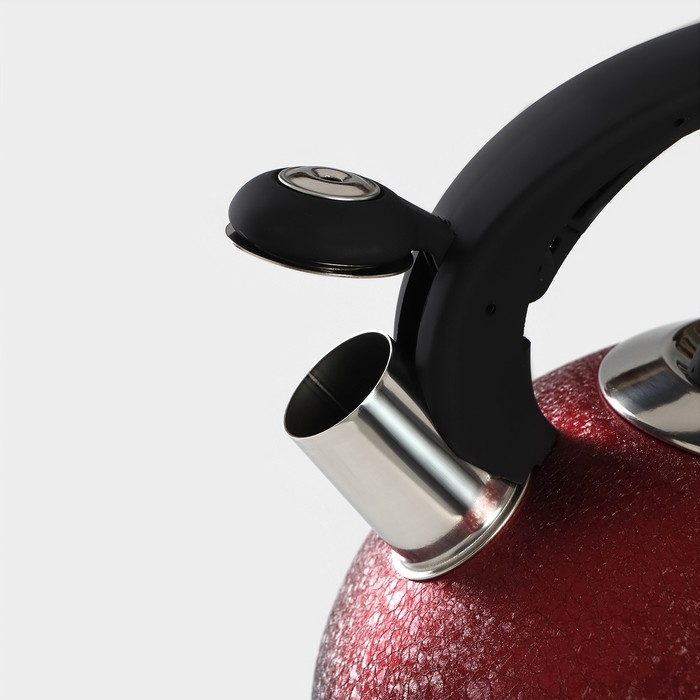 Чайник со свистком из нержавеющей стали Доляна Snow, 3 л, индукция, цвет красный