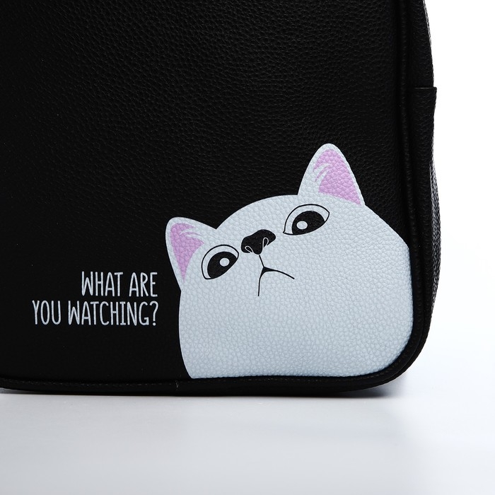 Рюкзак из искусственной кожи «What are you watching?» 27х23*10 см Рюкзак из искусственной кожи «What are you watching?» 27х23*10 см