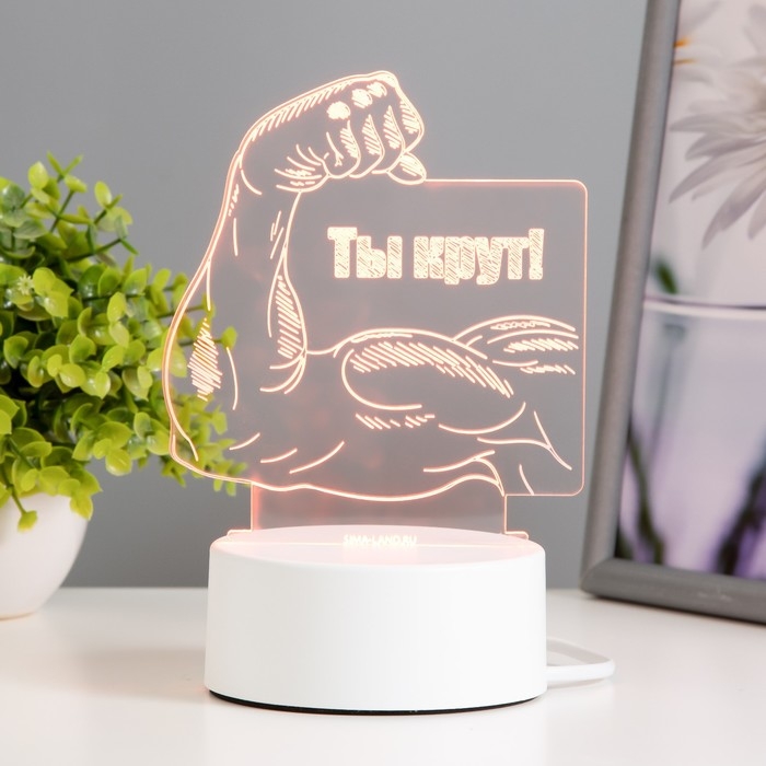 Светильник  Светильник "Ты крут" LED RGB от сети 12,8х9,5х14,5 см RISALUX
