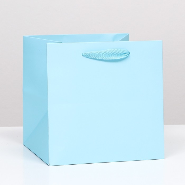 Пакет под торт 20х20х20cm Голубой, 1шт Пакет под торт 20х20х20cm Голубой, 1шт