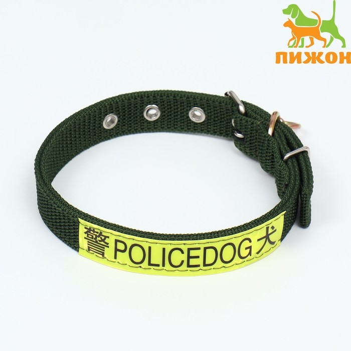 Ошейник двухслойный с вертлюгом, 3 см, зелёный Ошейник двухслойный с вертлюгом, 3 см, зелёный
