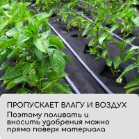 Полоса защитная для междурядий, 5 × 0,3, плотность 80 г/м², спанбонд с УФ-стабилизатором, чёрная, Greengo, Эконом 30%