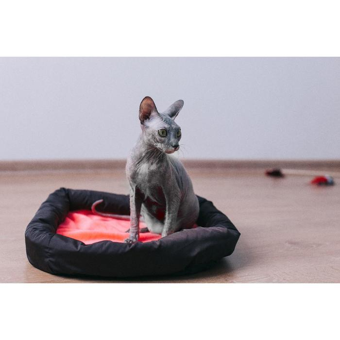 Лежанка мягкая с бортом, 55 х 40 см, микс цветов Лежанка мягкая с бортом, 55 х 40 см, микс цветов