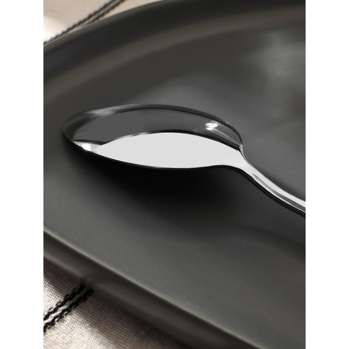 Ложка столовая из нержавеющей стали Magistro «Блинк», длина 22 см, цвет серебряный Ложка столовая из нержавеющей стали Magistro «Блинк», длина 22 см, цвет серебряный