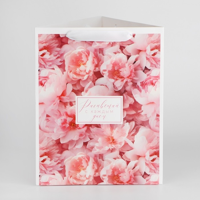 Пакет подарочный для цветов треугольный, упаковка, «Расцветай», 23,5 х 30 х 20,5 см Пакет подарочный для цветов треугольный, упаковка, «Расцветай», 23,5 х 30 х 20,5 см