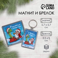 Новогодний набор "Змея. Дудочка" (брелок 3,5х5 см, Новогодний магнит 5,7х5,7 см)